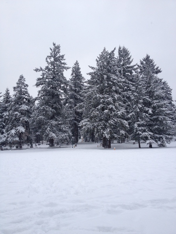 My snowy campus!